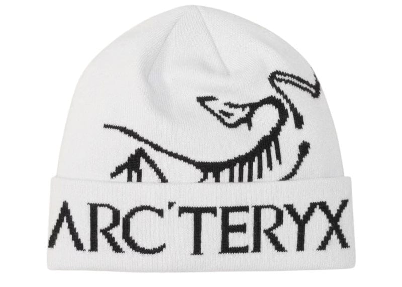 Arc'teryx Bird Word Toque Beanie (FW25) Orca – Court Order