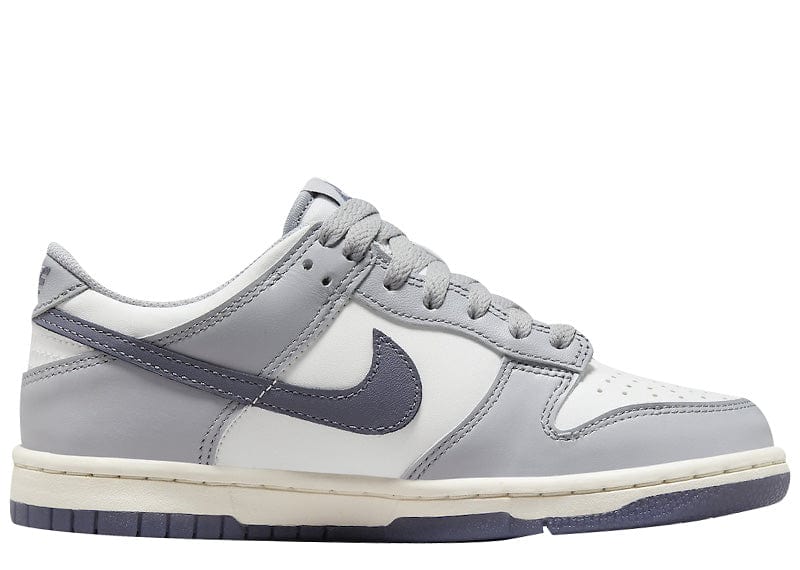Nike Dunk Low Platinum Tint Light Carbon (GS) – Court Order