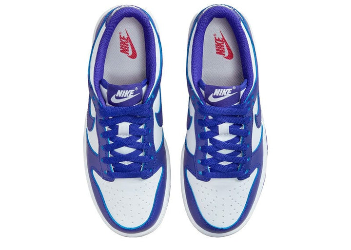 Nike Dunk Low Concord (GS) – Court Order