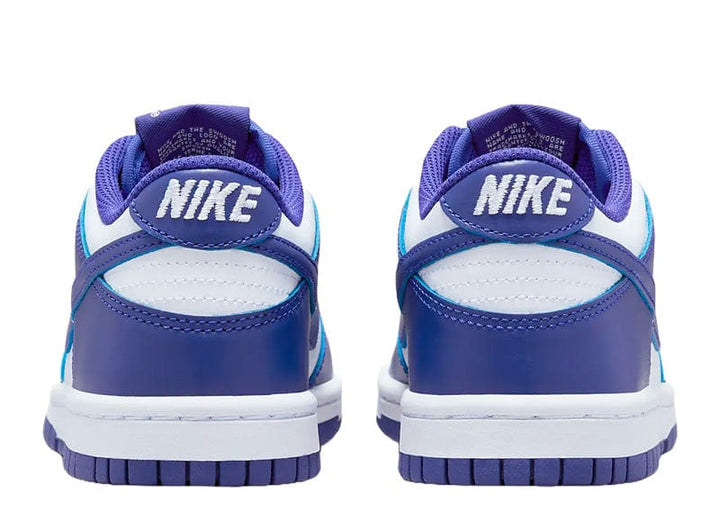 Nike Dunk Low Concord (GS) – Court Order