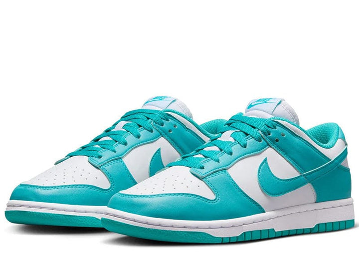 Nike Dunk Low Next Nature Dusty Cactus (Women's) – Court Order