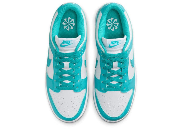 Nike Dunk Low Next Nature Dusty Cactus (Women's) – Court Order