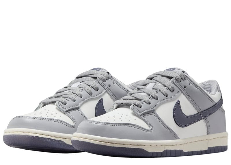 Nike sneakers Nike Dunk Low Platinum Tint Light Carbon (GS)