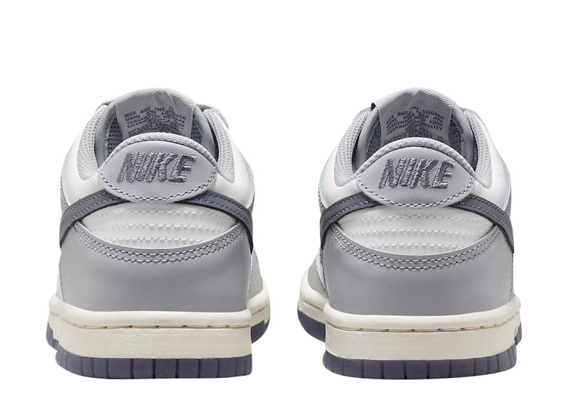 Nike Dunk Low Platinum Tint Light Carbon (GS) – Court Order