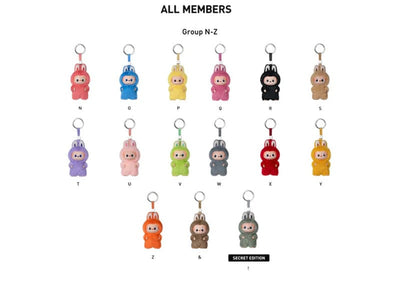 Pop Mart collectibles Pop Mart Labubu The Monsters Pin for Love Series Vinyl Plush Pendant (N-Z) Single Blind Box
