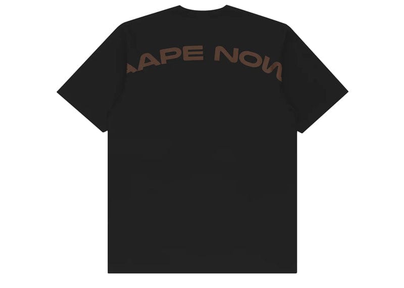 BAPE Streetwear AAPE By A Bathing Ape Brown Camo Ape Face Printed Tee Black
