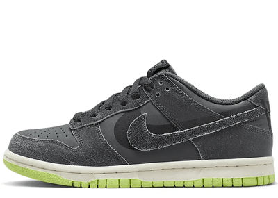 Nike sneakers Nike Dunk Low Swoosh Shadow Iron Grey (GS)