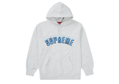 Supreme Streetwear Supreme Icy Arc Hooded Sweatshirt Ash Grey