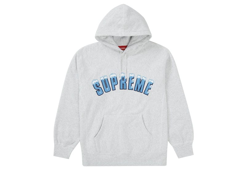 Supreme Streetwear Supreme Icy Arc Hooded Sweatshirt Ash Grey